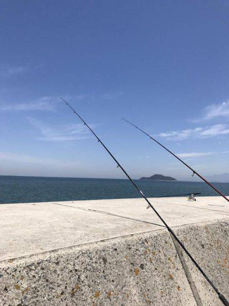 ダツ、ベラ、キス