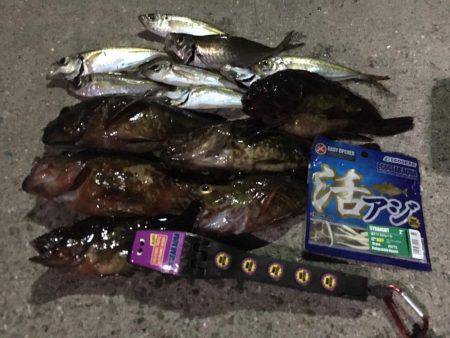 根魚まつり