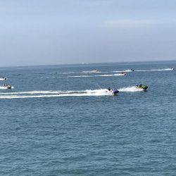 タコ、カワハギ