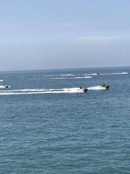 タコ、カワハギ