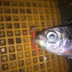 リバーアジング