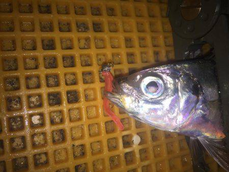 リバーアジング