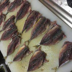 ツバス情報を見て出かけました。