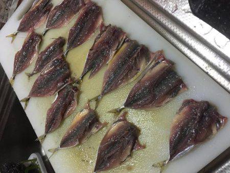 ツバス情報を見て出かけました。