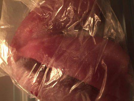 南の島に遠征！