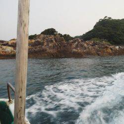 シマアジ・・・・グレ・・・・