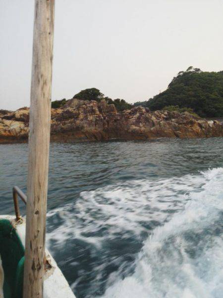 シマアジ・・・・グレ・・・・