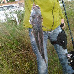 朝マズメ　ジギング