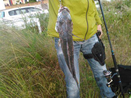 朝マズメ　ジギング