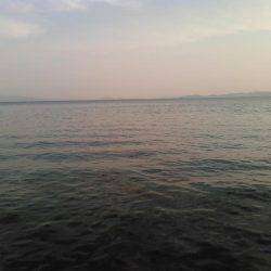 下津付近の地磯にて