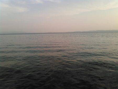 下津付近の地磯にて