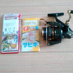 サビキ釣りでイワシ、子アジ狙い