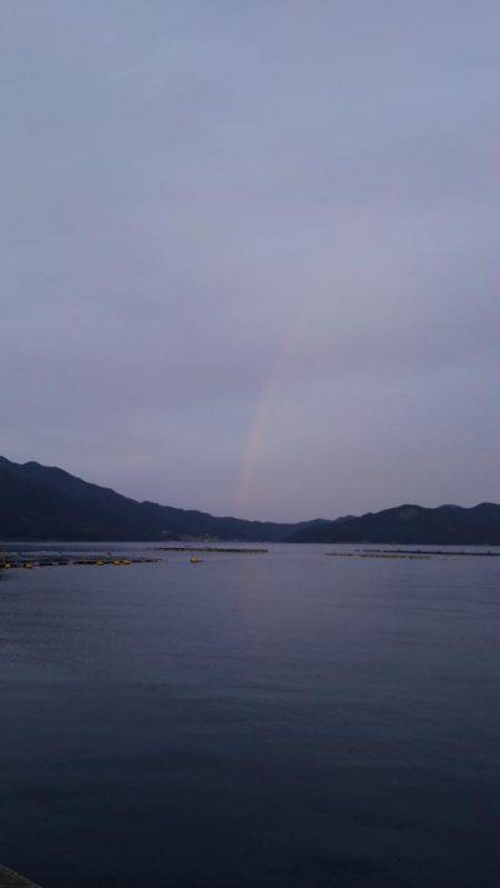 見たことのない魚