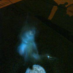 アジングのちツバス