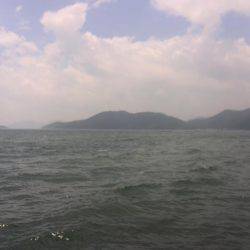 雨上がりキス釣り