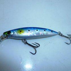 ツバス狩り　イマイチ