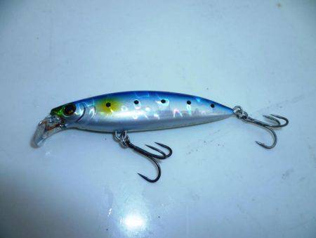 ツバス狩り　イマイチ