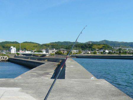 淡路のキスが釣れ始めました