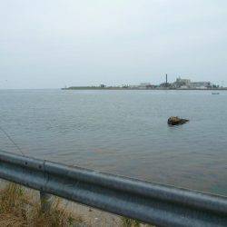 シーズン初の境水道釣行