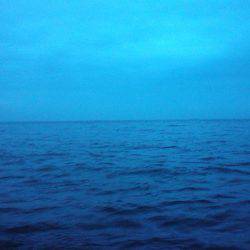 癒しの五目釣り