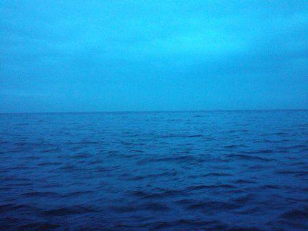 癒しの五目釣り