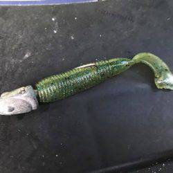 フィッシングガイド４５ 釣果