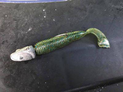 フィッシングガイド４５ 釣果