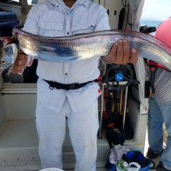 遊漁船 ニライカナイ 釣果