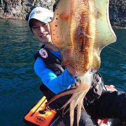 アオリイカ ホワイトモンスター狙いの釣行記【角田裕介氏連載記事浮きアオリイカ釣り 第8弾】