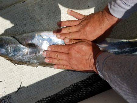 遊漁船 ニライカナイ 釣果