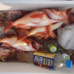 第二むつ漁丸 釣果