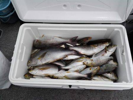 第二大福丸 釣果