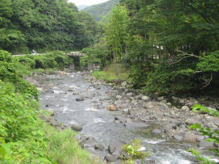 狩野川（狩野川漁業協同組合） 釣果