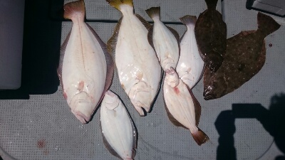 IDATEN（イダテン） 釣果