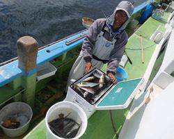 久里浜黒川本家 釣果