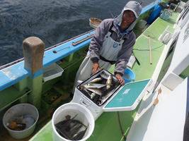 久里浜黒川本家 釣果
