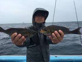おざき丸 釣果