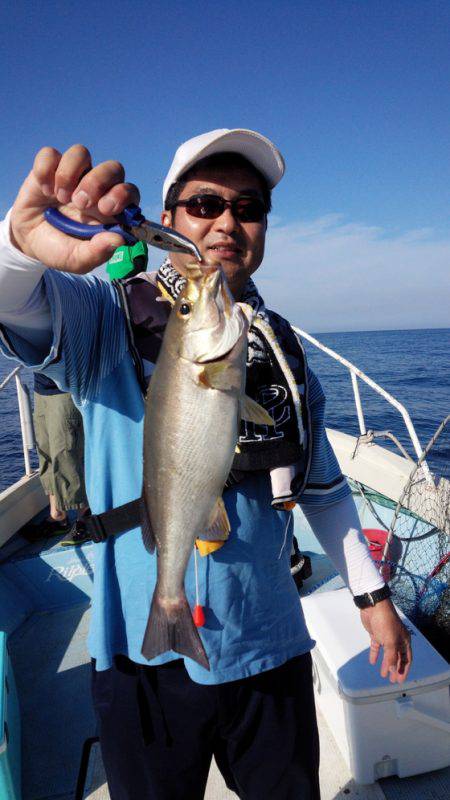 秀漁丸 釣果