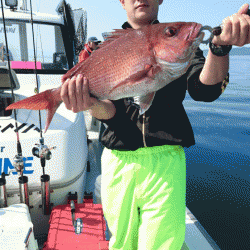 遊漁船ブルーウッズ 釣果