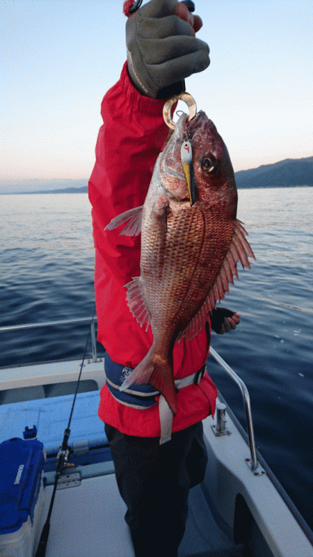 遊漁船ブルーウッズ 釣果