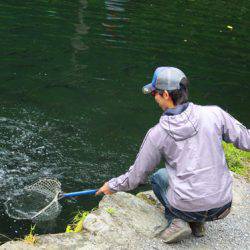 小菅トラウトガーデン 釣果