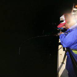 オーシャンズ　京都 釣果