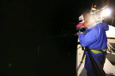 オーシャンズ　京都 釣果