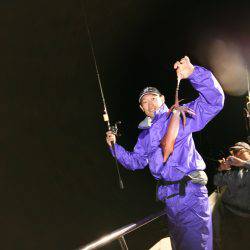 オーシャンズ　京都 釣果