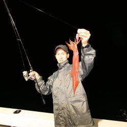 オーシャンズ　京都 釣果