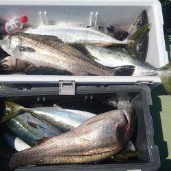 気仙沼 つり丸 釣果