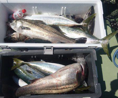 気仙沼　つり丸 釣果