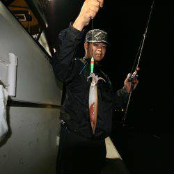 オーシャンズ　京都 釣果