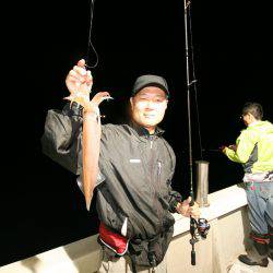 オーシャンズ　京都 釣果