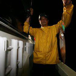 オーシャンズ　京都 釣果